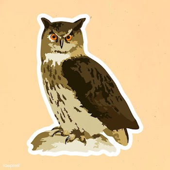 Vectorized Eurasian eagle-owl sticker overlay with a white border desi.. | Free  vector - 2361294