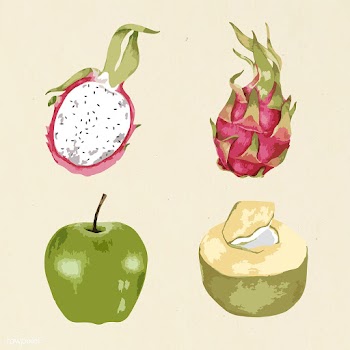 Vectorized fruit design element set | Free  vector - 2365035