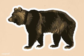 Vectorized grizzly bear sticker overlay with a white border on a beige.. | Free  vector - 2361220