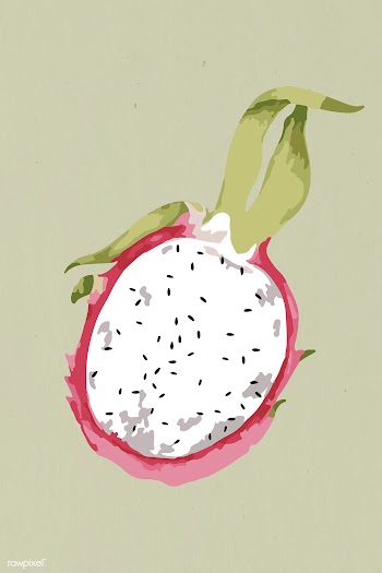 Vectorized half of a dragonfruit design element | Free  vector - 2354357