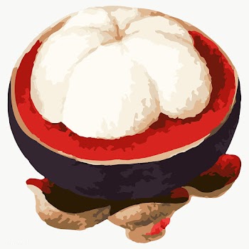 Vectorized mangosteen sticker overlay design element | Free  transparent png - 2361560