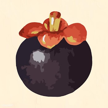 Vectorized mangosteen sticker overlay design resource | Free  vector - 2361270