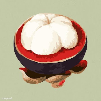 Vectorized mangosteen sticker overlay design resource | Free  vector - 2361277