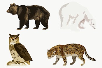 Vectorized mix vintage animals sticker design resource | Free  transparent png - 2366627