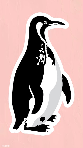 Vectorized penguin sticker overlay design element  | Free  vector - 2361273