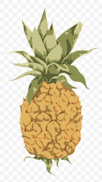 Vectorized pineapple design element | Free  transparent png - 2345801
