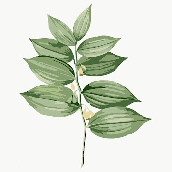 Vectorized polygonatum flower sticker overlay design element  | Free  transparent png - 2361596