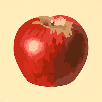 Vectorized red apple fruit sticker design resource | Free  vector - 2361259