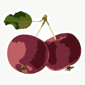 Vectorized red cherries sticker overlay with white border design eleme.. | Free  transparent png - 2361522