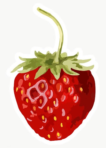 Vectorized strawberry fruit sticker overlay with a white border design.. | Free  transparent png - 2361515