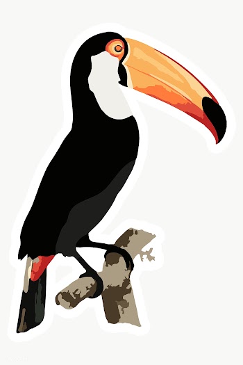 Vectorized toucan bird sticker overlay design element  | Free  transparent png - 2361533