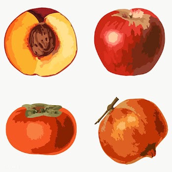 Vectorized tropical fruit sticker collection design elements  | Free  transparent png - 2366655