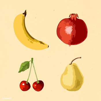 Vectorized tropical fruit sticker collection design elements  | Free  vector - 2366563