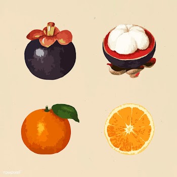 Vectorized tropical fruit sticker collection design elements  | Free  vector - 2366571