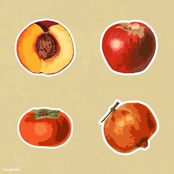 Vectorized tropical fruit sticker collection design elements  | Free  vector - 2366592