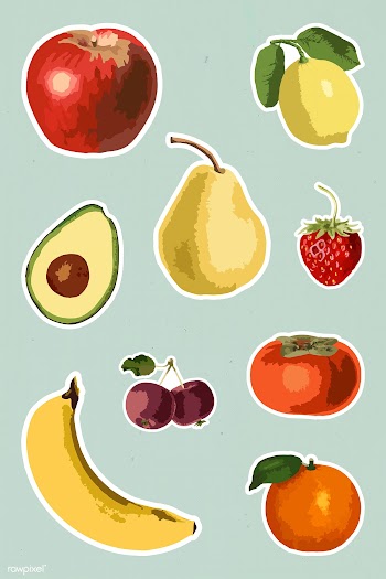 Vectorized tropical fruit sticker collection design elements  | Free  vector - 2368173