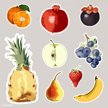 Vectorized tropical fruit sticker collection design elements  | Free  vector - 2368174