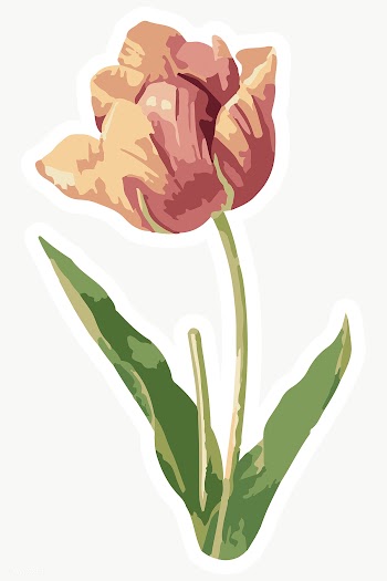 Vectorized tulip flower sticker overlay with a white border design ele.. | Free  transparent png - 2361543