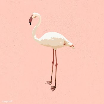 Vectorized white flamingo bird on a pink background | Free  vector - 2345812