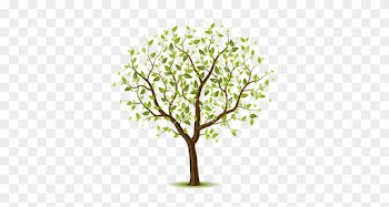 Vectors Illustration Of Tree With Green Leafage - Give The Gift Of Life Be An Organ Donor Picture Frame