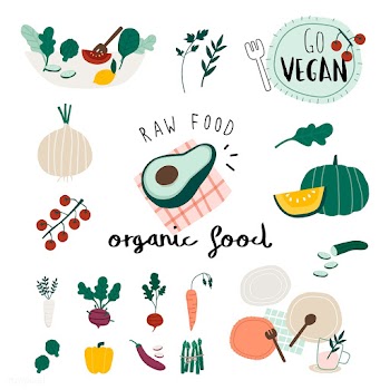 Vegan organic food set vectors | Free stock vector - 537926
