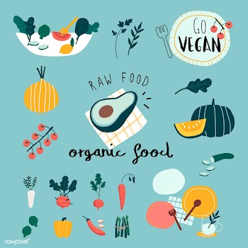 Vegan organic food set vectors | Free stock vector - 537935