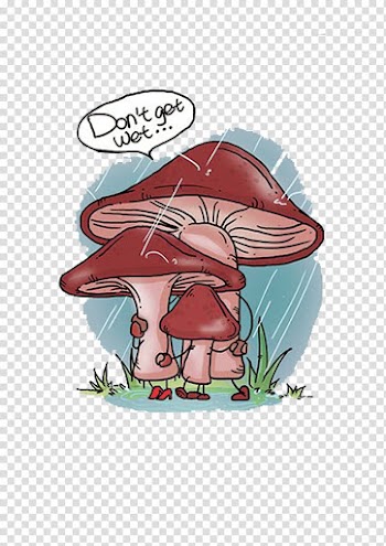 Vegetable 50x50 Avatar Tencent QQ Sina Weibo, Rainy day material free transparent background PNG clipart