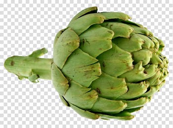 Vegetable Artichoke Nice Cynara, artichokes transparent background PNG clipart