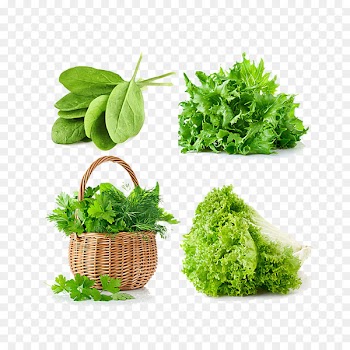 Vegetable Auglis Basket Food Fruit - A variety of vegetables 