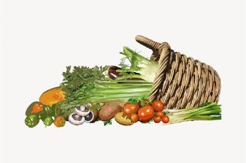 Vegetable basket clipart, healthy food | Free Vector - rawpixel