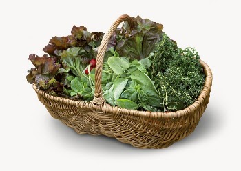 Vegetable basket, organic food ingredient | Free Photo - rawpixel