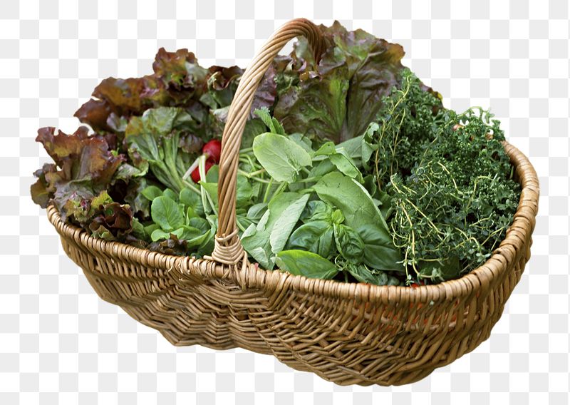Vegetable basket png sticker, organic | Free PNG - rawpixel