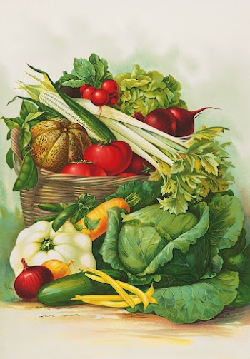 Vegetable basket still life illustration. | Free Photo - rawpixel