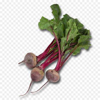 Vegetable Beetroot Chard Food Common beet - chocolat png download ...