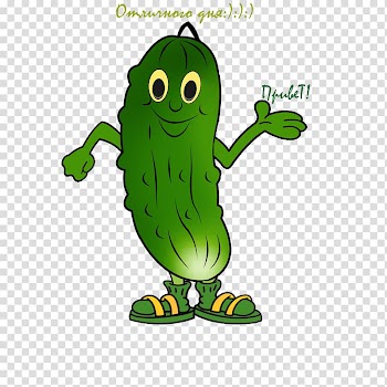 Vegetable Bitter melon Animation, lettuce transparent background PNG clipart