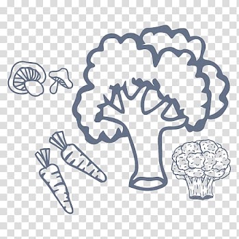 Vegetable Broccoli Coloring book Fruit Child, vegetable transparent background PNG clipart