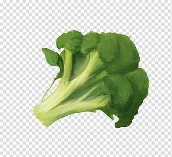 Vegetable Broccoli Fruit Cauliflower Food, broccoli transparent background PNG clipart
