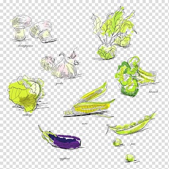 Vegetable Broccoli Pea Illustration, vegetables transparent background PNG clipart