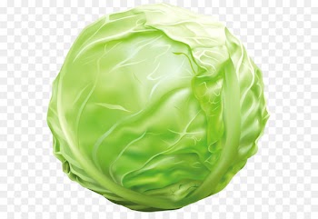 Vegetable Cabbage Clip art - Cabbage PNG Clipart Image 