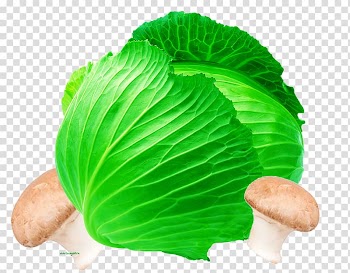 Vegetable Cabbage Food Plant Capsicum, Delicious cabbage material transparent background PNG clipart