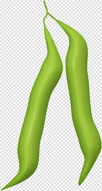 Vegetable Chili pepper Food , black beans transparent background PNG clipart