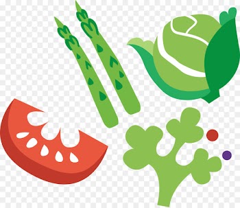 Vegetable Clip art Portable Network Graphics Bamboo shoot Illustration - bambooshoot cartoon 