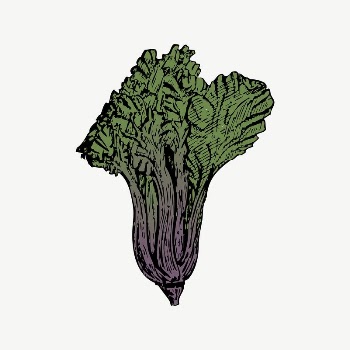 Vegetable clipart, vintage illustration vector. | Free Vector Illustration - rawpixel