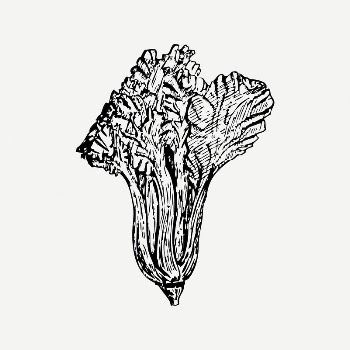 Vegetable collage element, black & | Free PSD Illustration - rawpixel