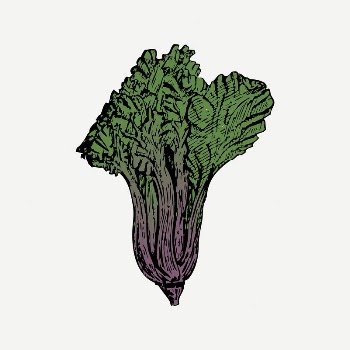 Vegetable collage element, drawing illustration | Free PSD Illustration - rawpixel