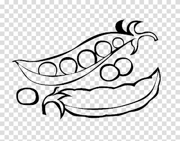 Vegetable Coloring book Legume Pease pudding Pumpkin, vegetable transparent background PNG clipart