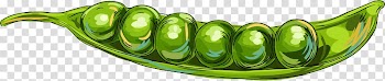 Vegetable Commodity Fruit, painted pea transparent background PNG clipart