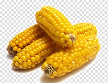 Vegetable , corn transparent background PNG clipart