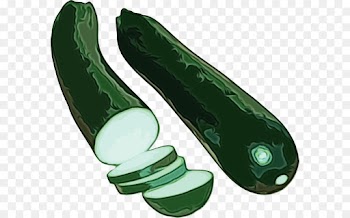 vegetable cucumber zucchini cucumber, gourd, and melon family cucumis