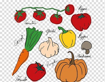 Vegetable Drawing Fruit Tomato, All kinds of vegetables transparent background PNG clipart